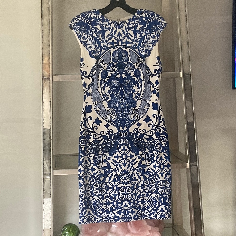 Boston Proper slim curvy China Dress.